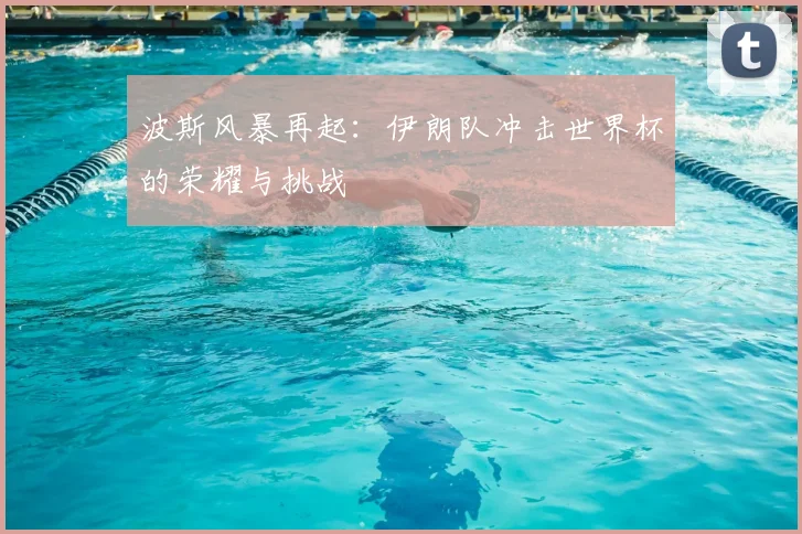 波斯风暴再起：伊朗队冲击世界杯的荣耀与挑战