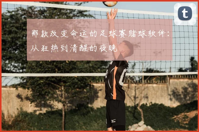 那款改变命运的足球赛赌球软件：从狂热到清醒的夜晚