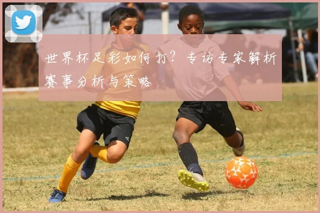 世界杯足彩如何打?专访专家解析赛事分析与策略