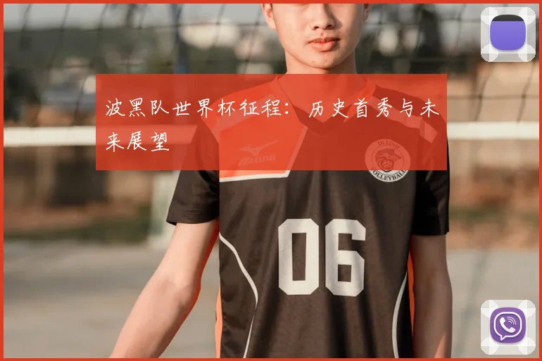 波黑队世界杯征程：历史首秀与未来展望