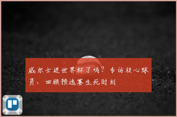 威尔士进世界杯了吗？专访核心球员，回顾预选赛生死时刻
