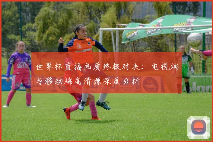 世界杯直播画质终极对决：电视端与移动端高清源深度分析